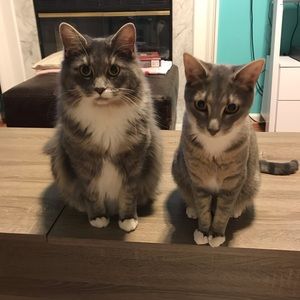 Meet your Posher, Amy